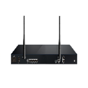 OfficeTen1800-G4S2 (4GE+2FXS)