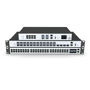 LS1200 series L2+ Access Switches
